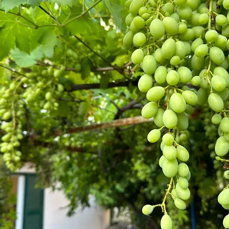 Apartamento Valentinas Garden Split