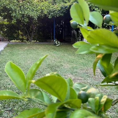 Daire Valentinas Garden