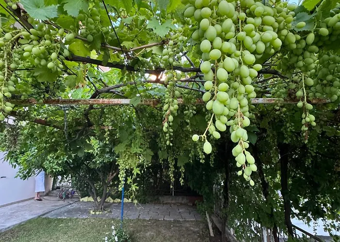 Valentinas Garden