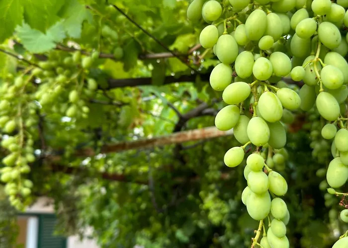 شقة Valentinas Garden سبليت