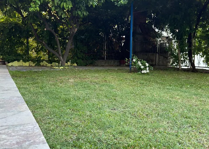 Valentinas Garden سبليت