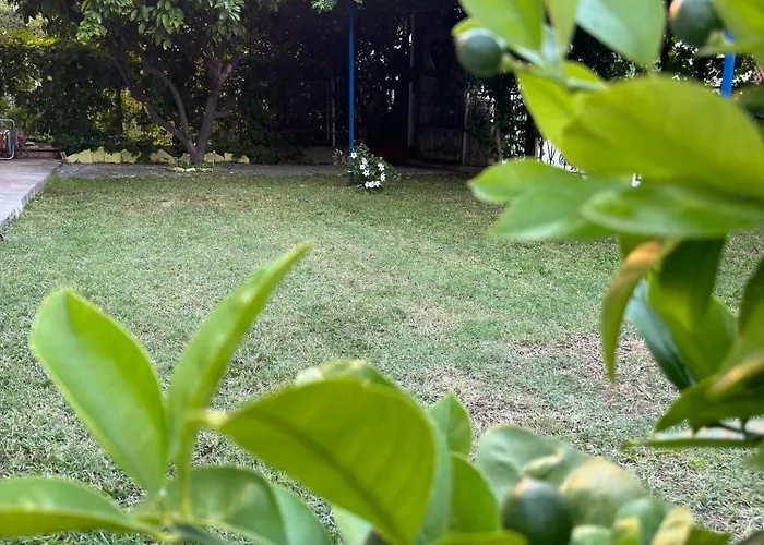 شقة Valentinas Garden